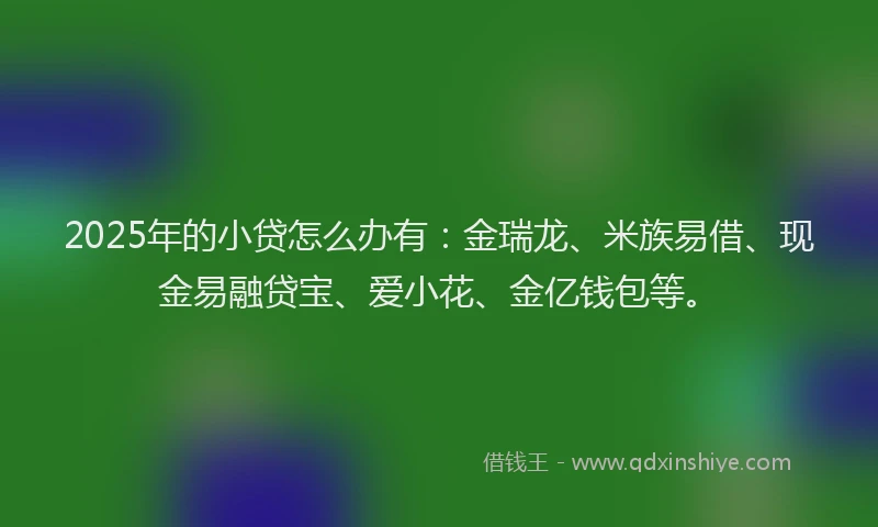 2025年的小贷怎么办有：金瑞龙、米族易借、现金易融贷宝、爱小花、金亿钱包等。
