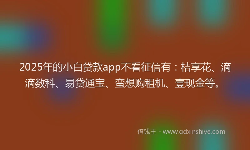 2025年的小白贷款app不看征信有:桔享花、滴滴数科、易贷通宝、蛮想购租机、壹现金等。