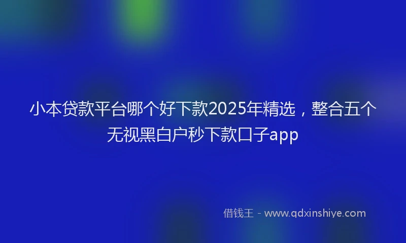 小本贷款平台哪个好下款2025年精选，整合五个无视黑白户秒下款口子app