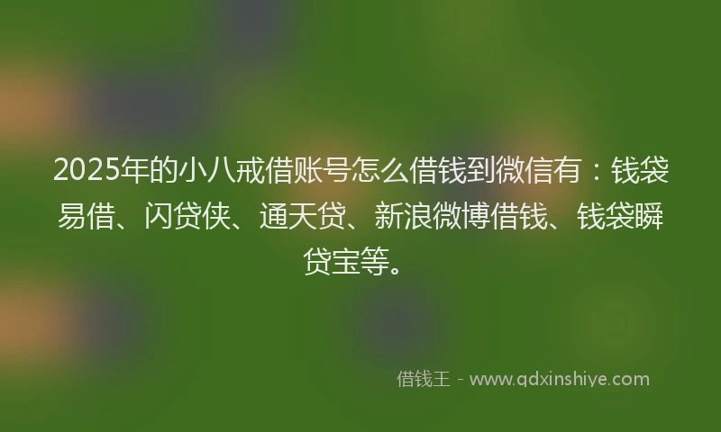 2025年的小八戒借账号怎么借钱到微信有：钱袋易借、闪贷侠、通天贷、新浪微博借钱、钱袋瞬贷宝等。
