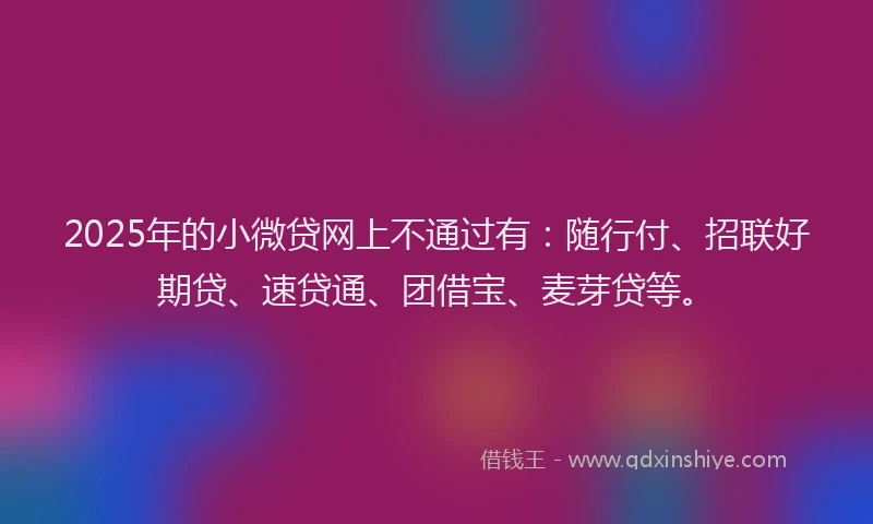 2025年的小微贷网上不通过有：随行付、招联好期贷、速贷通、团借宝、麦芽贷等。