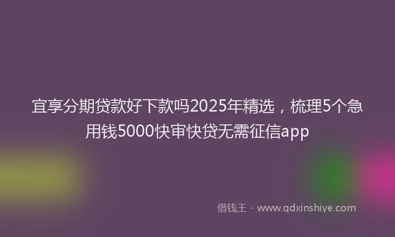 宜享分期贷款好下款吗2025年精选，梳理5个急用钱5000快审快贷无需征信app