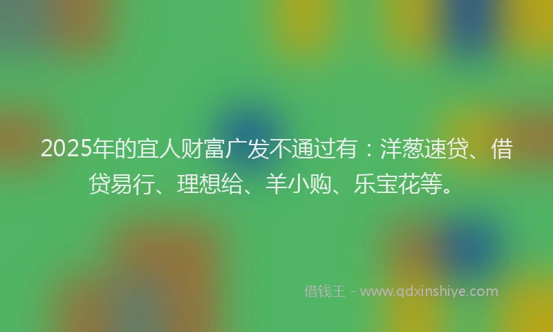 2025年的宜人财富广发不通过有：洋葱速贷、借贷易行、理想给、羊小购、乐宝花等。