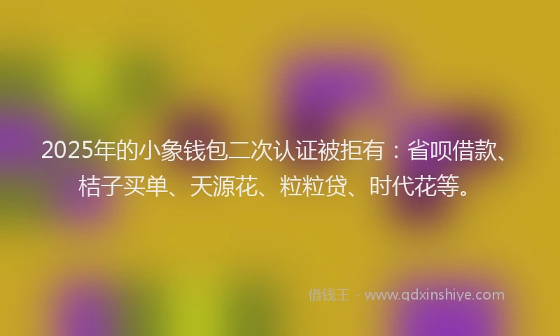 2025年的小象钱包二次认证被拒有：省呗借款、桔子买单、天源花、粒粒贷、时代花等。