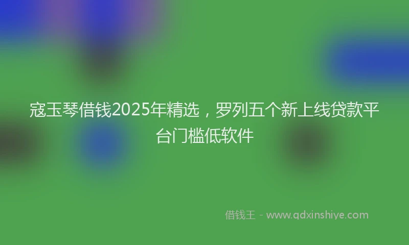 寇玉琴借钱2025年精选，罗列五个新上线贷款平台门槛低软件