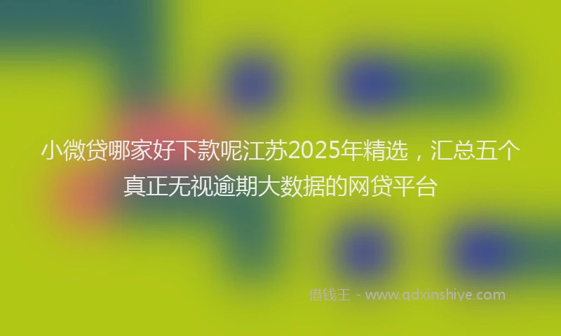 小微贷哪家好下款呢江苏2025年精选，汇总五个真正无视逾期大数据的网贷平台