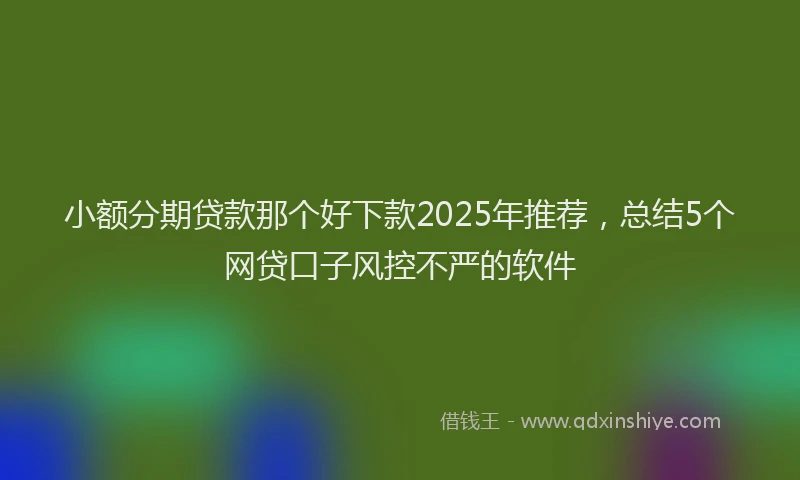 小额分期贷款那个好下款2025年推荐，总结5个网贷口子风控不严的软件
