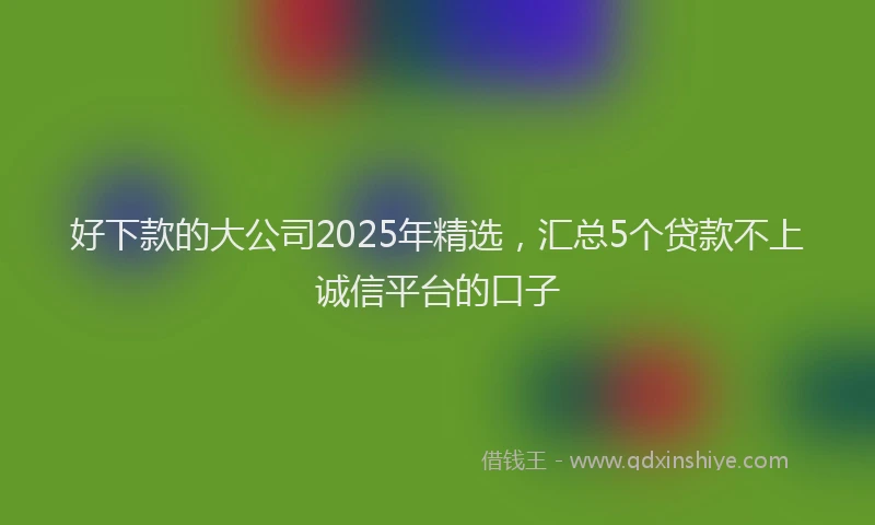 好下款的大公司2025年精选，汇总5个贷款不上诚信平台的口子