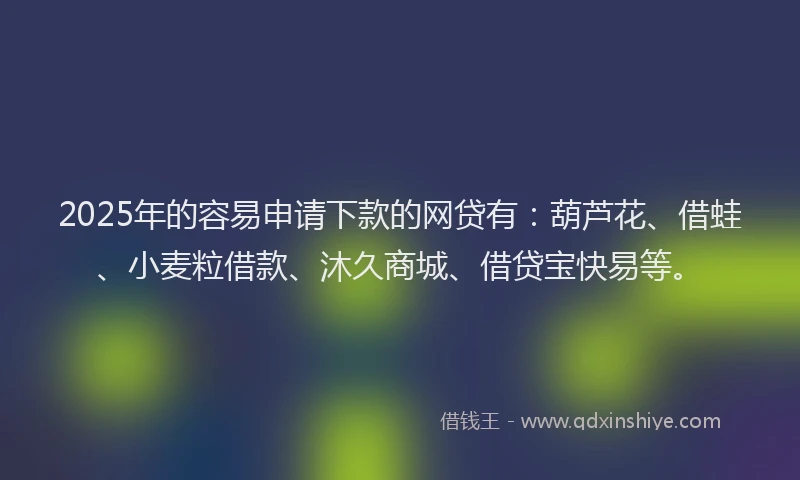 2025年的容易申请下款的网贷有：葫芦花、借蛙、小麦粒借款、沐久商城、借贷宝快易等。