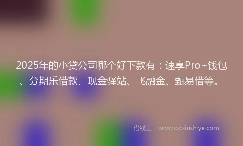 2025年的小贷公司哪个好下款有：速享Pro+钱包、分期乐借款、现金驿站、飞融金、甄易借等。