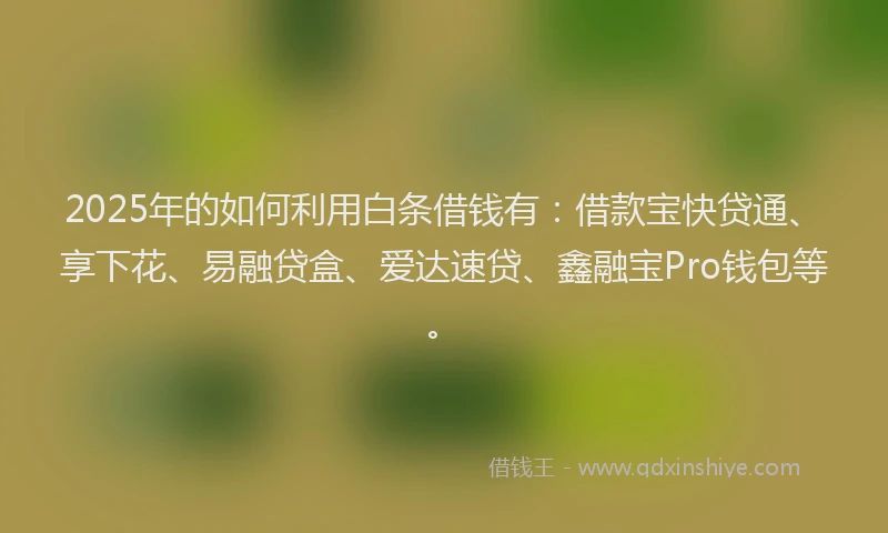 2025年的如何利用白条借钱有：借款宝快贷通、享下花、易融贷盒、爱达速贷、鑫融宝Pro钱包等。