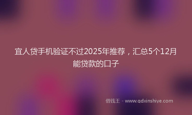 宜人贷手机验证不过2025年推荐，汇总5个12月能贷款的口子