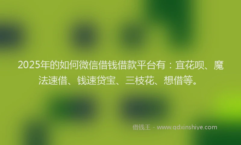 2025年的如何微信借钱借款平台有：宜花呗、魔法速借、钱速贷宝、三枝花、想借等。