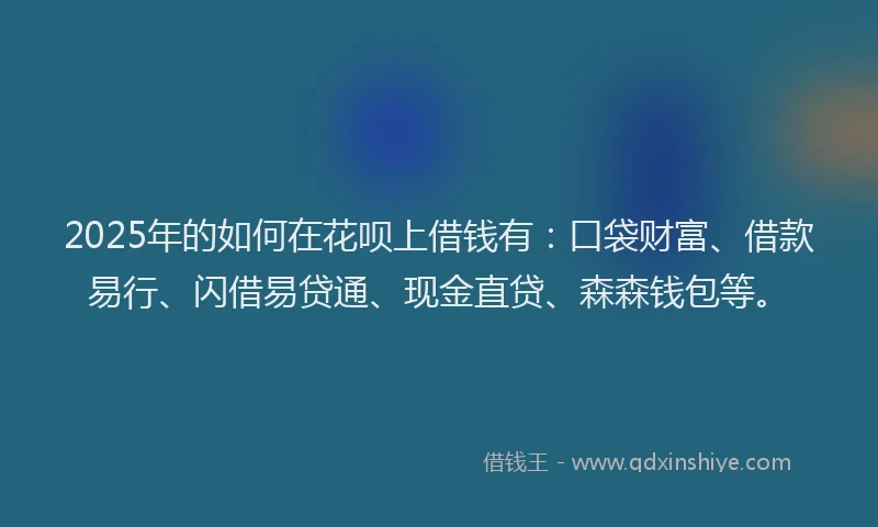 2025年的如何在花呗上借钱有：口袋财富、借款易行、闪借易贷通、现金直贷、森森钱包等。