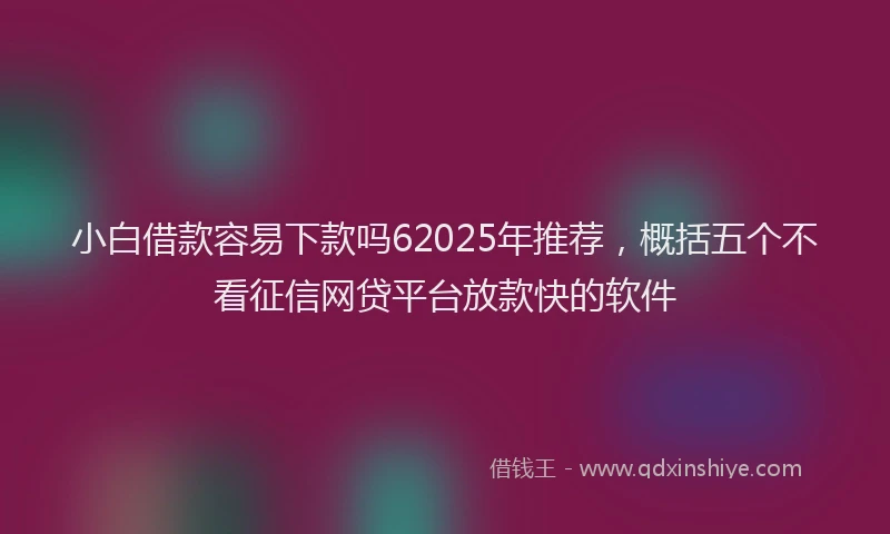 小白借款容易下款吗62025年推荐，概括五个不看征信网贷平台放款快的软件