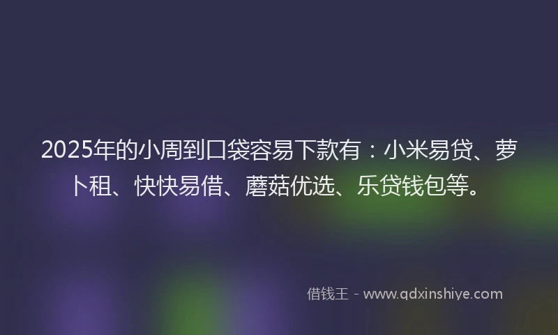 2025年的小周到口袋容易下款有：小米易贷、萝卜租、快快易借、蘑菇优选、乐贷钱包等。