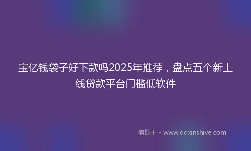 宝亿钱袋子好下款吗2025年推荐，盘点五个新上线贷款平台门槛低软件