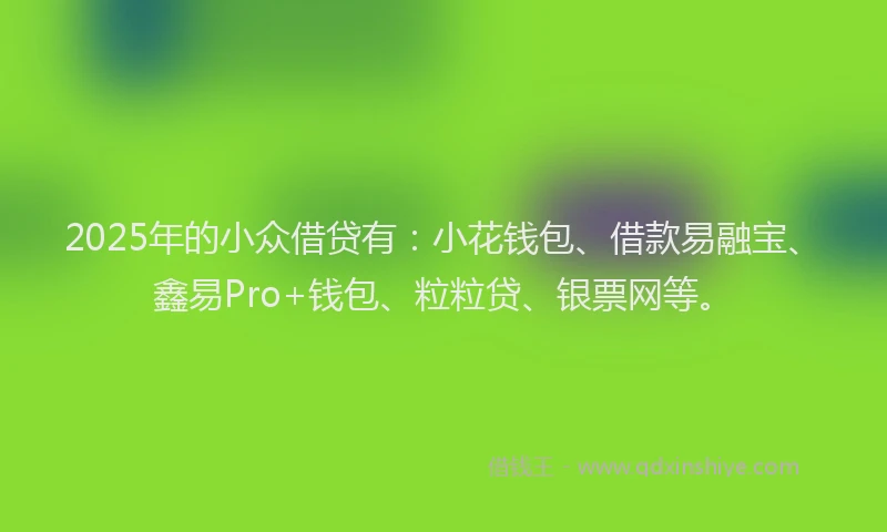 2025年的小众借贷有：小花钱包、借款易融宝、鑫易Pro+钱包、粒粒贷、银票网等。