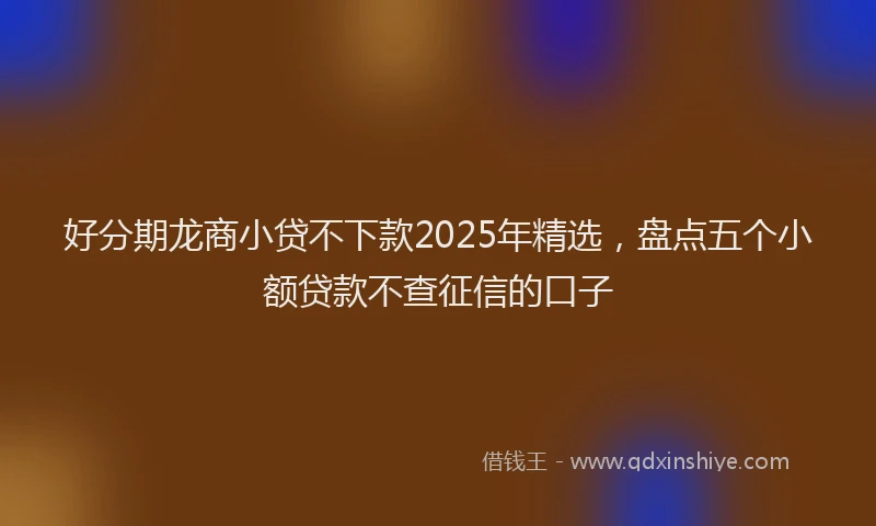 好分期龙商小贷不下款2025年精选，盘点五个小额贷款不查征信的口子