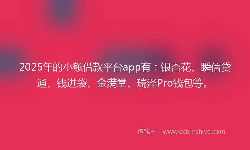 2025年的小额借款平台app有：银杏花、瞬信贷通、钱进袋、金满堂、瑞泽Pro钱包等。