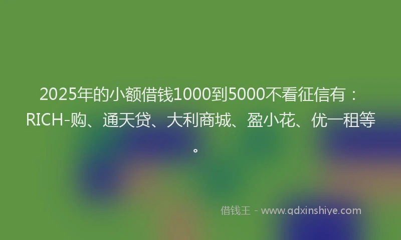 2025年的小额借钱1000到5000不看征信有:RICH-购、通天贷、大利商城、盈小花、优一租等。
