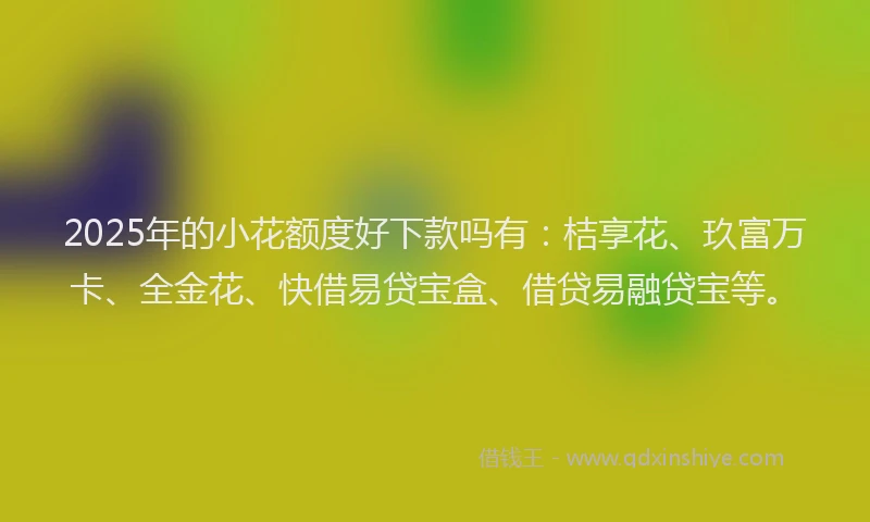 2025年的小花额度好下款吗有：桔享花、玖富万卡、全金花、快借易贷宝盒、借贷易融贷宝等。