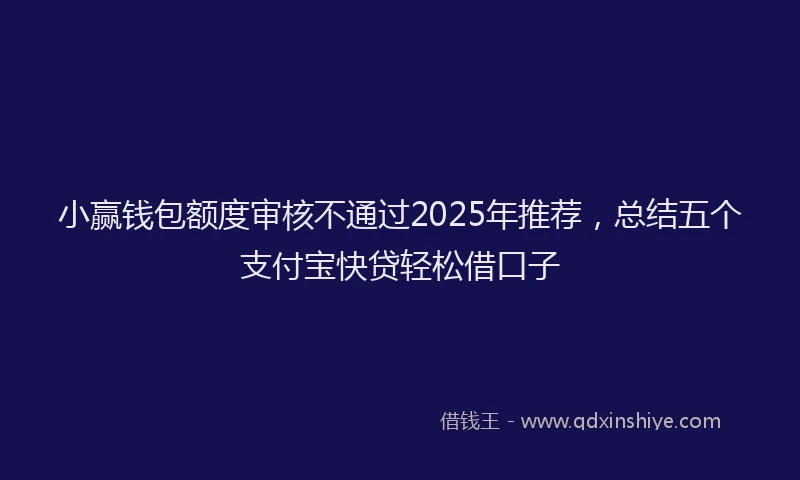 小赢钱包额度审核不通过2025年推荐，总结五个支付宝快贷轻松借口子
