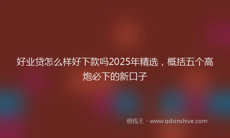 好业贷怎么样好下款吗2025年精选，概括五个高炮必下的新口子