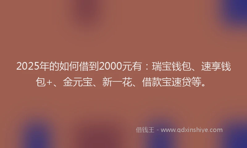 2025年的如何借到2000元有：瑞宝钱包、速享钱包+、金元宝、新一花、借款宝速贷等。