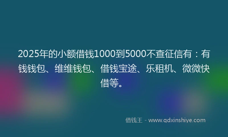 2025年的小额借钱1000到5000不查征信有:有钱钱包、维维钱包、借钱宝途、乐租机、微微快借等。