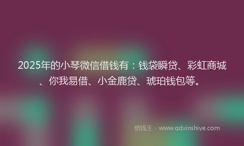2025年的小琴微信借钱有：钱袋瞬贷、彩虹商城、你我易借、小金鹿贷、琥珀钱包等。