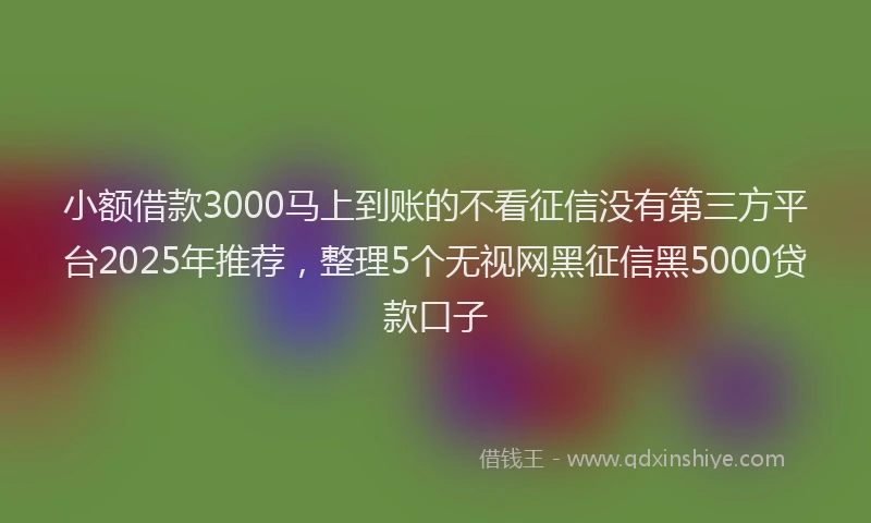 小额借款3000马上到账的不看征信没有第三方平台2025年推荐，整理5个无视网黑征信黑5000贷款口子