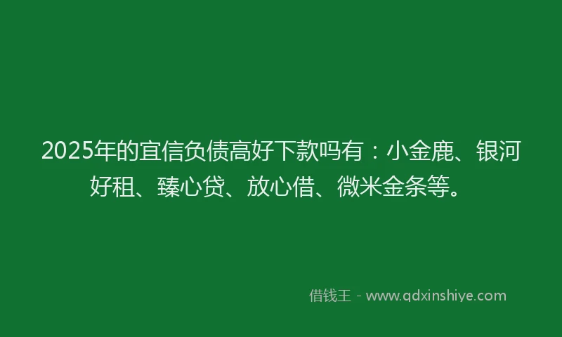 2025年的宜信负债高好下款吗有：小金鹿、银河好租、臻心贷、放心借、微米金条等。