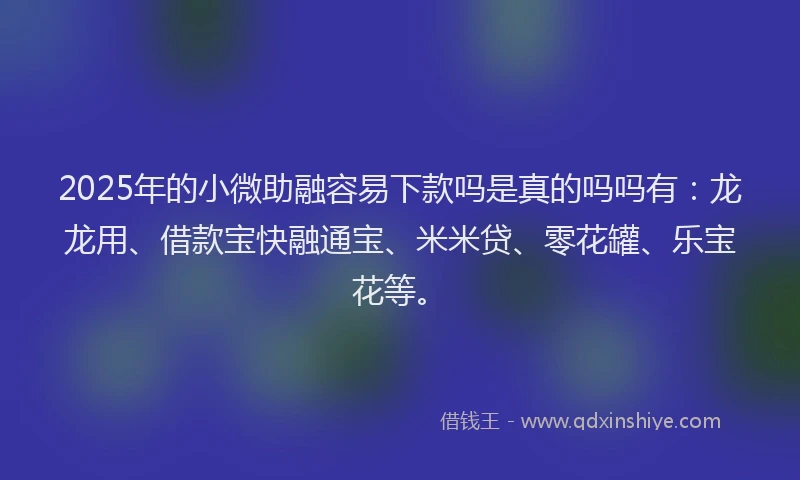 2025年的小微助融容易下款吗是真的吗吗有：龙龙用、借款宝快融通宝、米米贷、零花罐、乐宝花等。