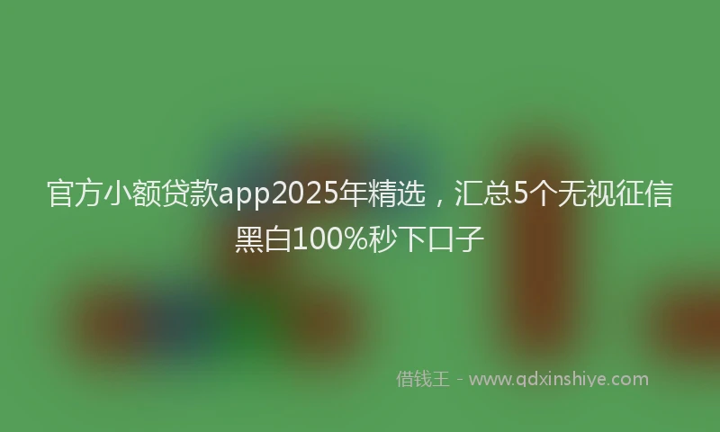 官方小额贷款app2025年精选，汇总5个无视征信黑白100%秒下口子