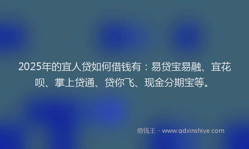 2025年的宜人贷如何借钱有：易贷宝易融、宜花呗、掌上贷通、贷你飞、现金分期宝等。
