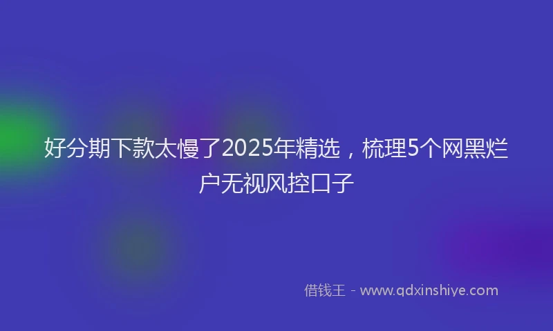 好分期下款太慢了2025年精选，梳理5个网黑烂户无视风控口子