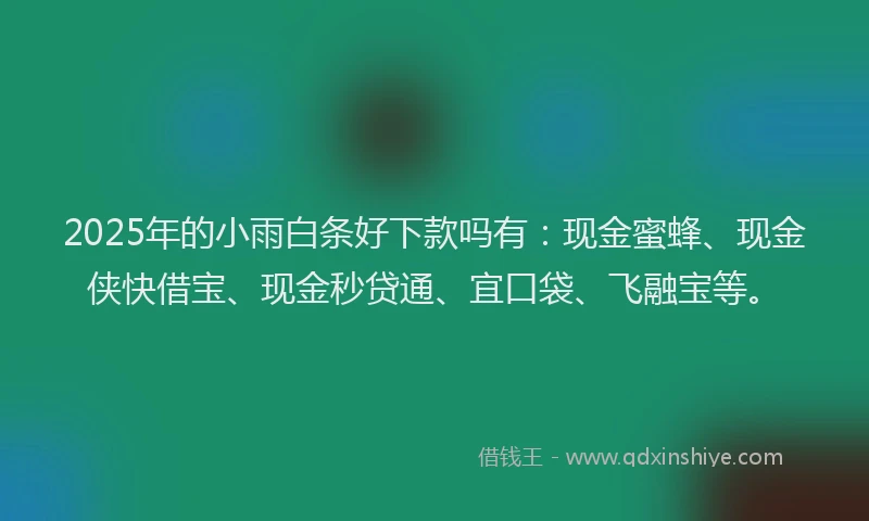 2025年的小雨白条好下款吗有：现金蜜蜂、现金侠快借宝、现金秒贷通、宜口袋、飞融宝等。