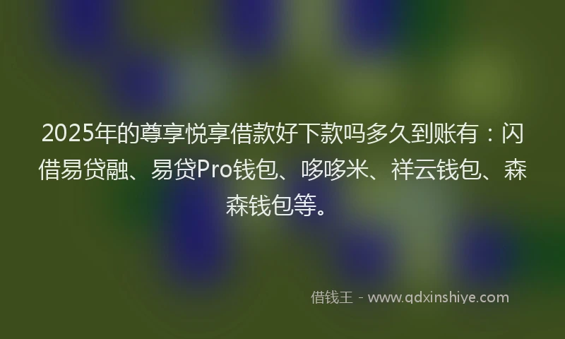 2025年的尊享悦享借款好下款吗多久到账有：闪借易贷融、易贷Pro钱包、哆哆米、祥云钱包、森森钱包等。