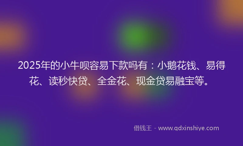 2025年的小牛呗容易下款吗有：小鹅花钱、易得花、读秒快贷、全金花、现金贷易融宝等。
