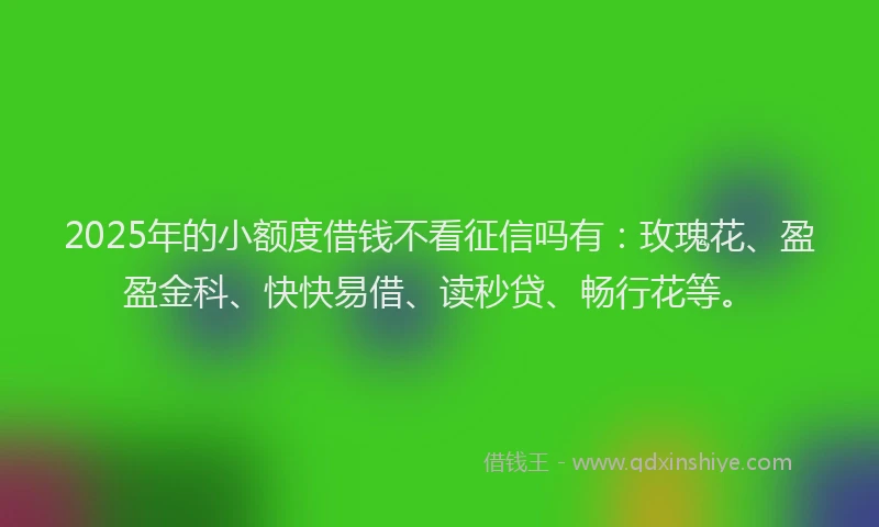 2025年的小额度借钱不看征信吗有：玫瑰花、盈盈金科、快快易借、读秒贷、畅行花等。