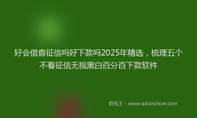 好会借查征信吗好下款吗2025年精选，梳理五个不看征信无视黑白百分百下款软件
