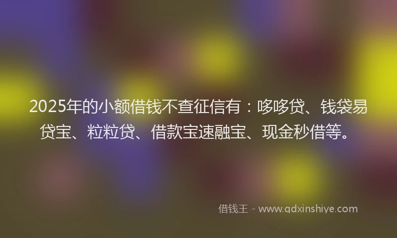 2025年的小额借钱不查征信有：哆哆贷、钱袋易贷宝、粒粒贷、借款宝速融宝、现金秒借等。