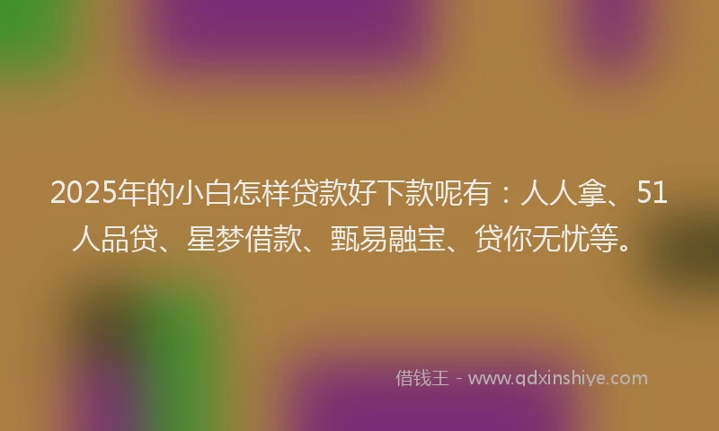 2025年的小白怎样贷款好下款呢有：人人拿、51人品贷、星梦借款、甄易融宝、贷你无忧等。