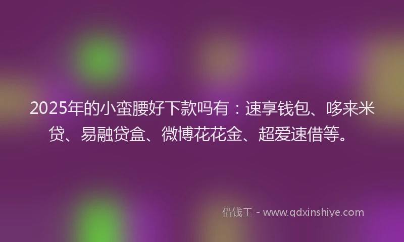 2025年的小蛮腰好下款吗有：速享钱包、哆来米贷、易融贷盒、微博花花金、超爱速借等。