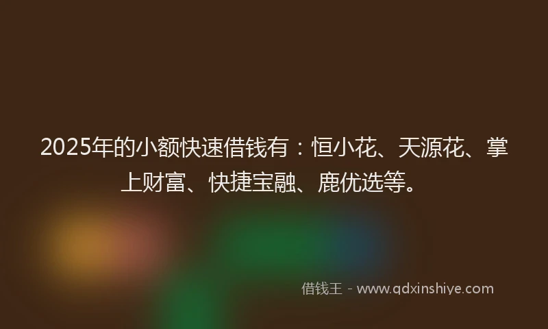 2025年的小额快速借钱有：恒小花、天源花、掌上财富、快捷宝融、鹿优选等。