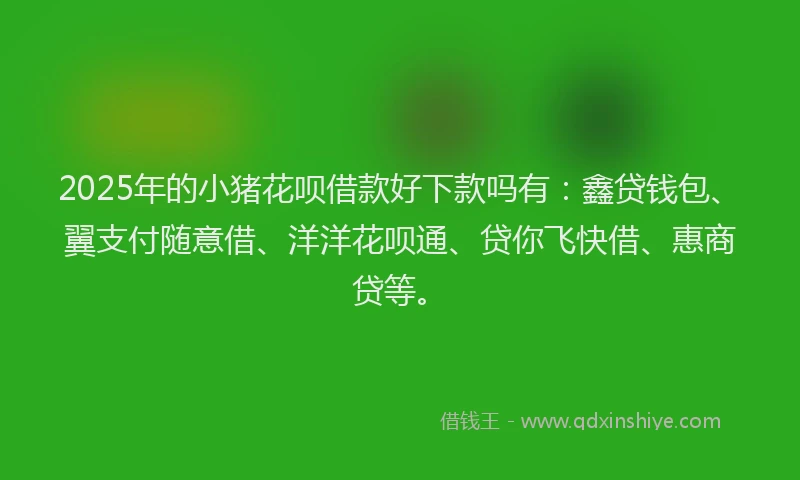 2025年的小猪花呗借款好下款吗有：鑫贷钱包、翼支付随意借、洋洋花呗通、贷你飞快借、惠商贷等。