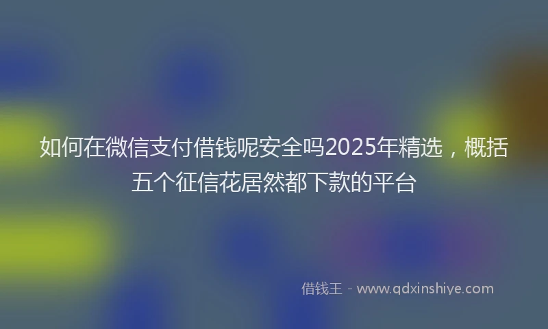 如何在微信支付借钱呢安全吗2025年精选，概括五个征信花居然都下款的平台