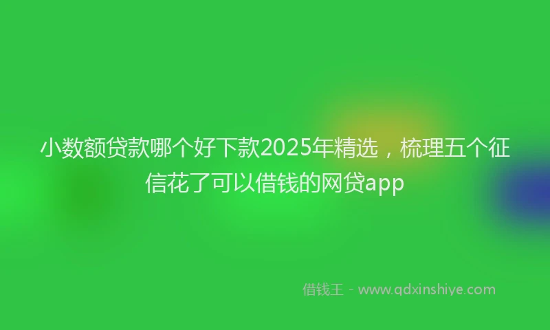 小数额贷款哪个好下款2025年精选，梳理五个征信花了可以借钱的网贷app