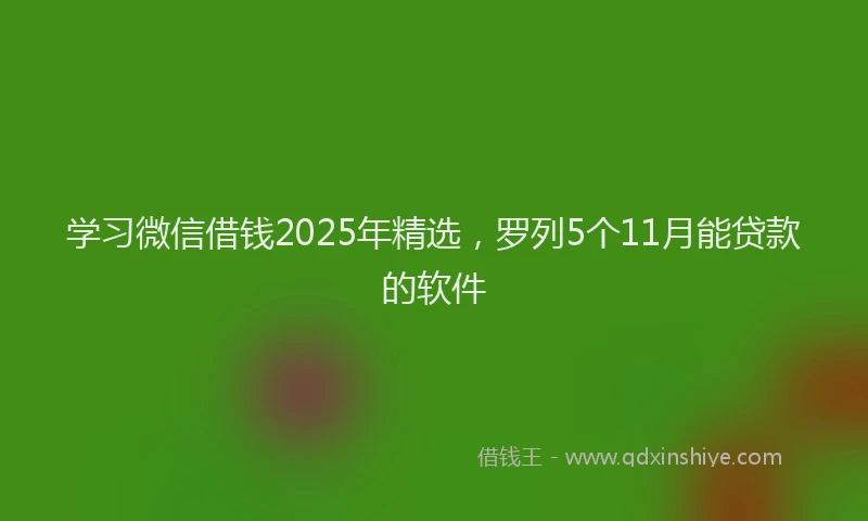 学习微信借钱2025年精选，罗列5个11月能贷款的软件
